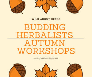 Budding herbalists Autumn Workshops
